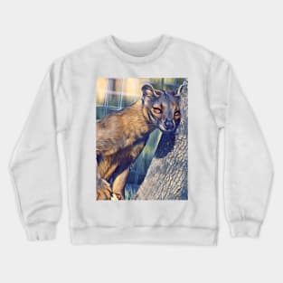 Fossa Crewneck Sweatshirt